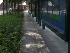 -Apple零售店(深圳益田假日广场店)