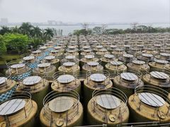 -厨邦酱油文化博览馆