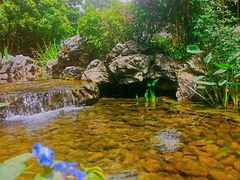 -新荣记(西溪湿地店)