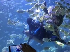 -左海海底世界