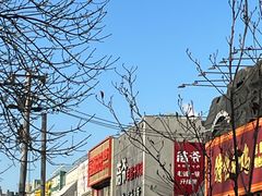 -浩爷羊蝎子火锅(望京店)
