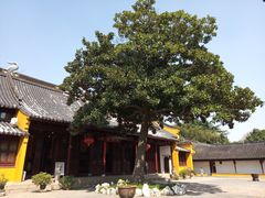 -北寺塔