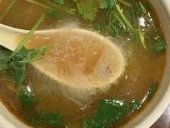 牛肉粉丝汤-东泰祥生煎馆(陕西南路店)