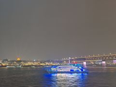 -武汉两江游览·夜游长江(汉口粤汉码头)