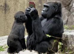 -加帕瑜伽培训学院