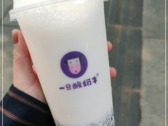 -一只酸奶牛(八一路店)