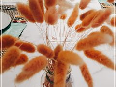 -MOCUS莫卡斯餐厅(祥云小镇店)