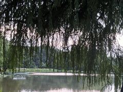 -南宁良凤江国家森林公园