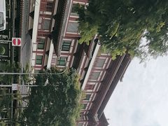 -新加坡佛牙寺龙华院
