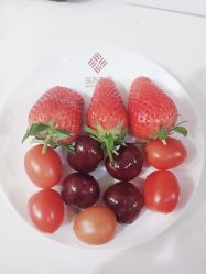 -东方幸福国际母婴月子会所(沙湾公园店)