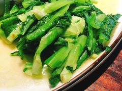 炒油麦菜-陈麻婆豆腐(旗舰店)