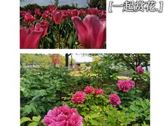 -尚湖风景区