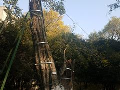 -湖北美术学院(昙华林校区)