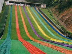 -梦幻奥陶纪景区