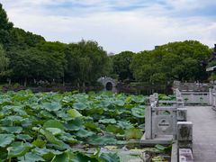-范蠡湖公园