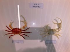 -中国湿地博物馆