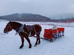-亚布力新体委滑雪场