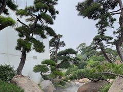 -罗红摄影艺术馆