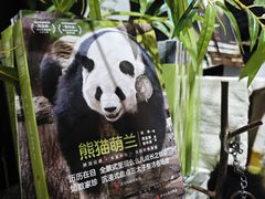 -轩客会(熊猫书店)
