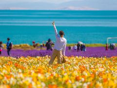 -青海湖国家重点风景名胜区