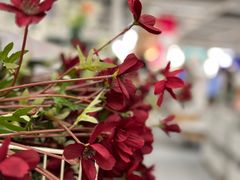 -宜家家居(高新商场店)