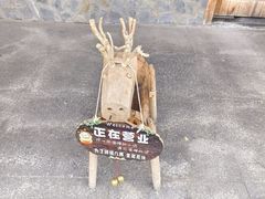 -土著渔匠·养生蝴蝶鱼(香樟路店)