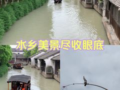 -乌镇西栅景区