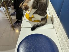-平行世界·猫咖(首经贸店)