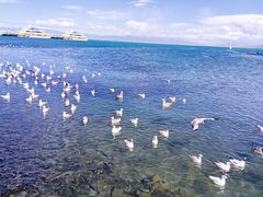 -青海湖二郎剑景区