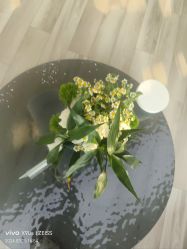 -HEYAN荷妍专业脱毛连锁机构