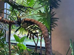 -J Create城市露营咖啡·简餐·宠物(上海动物园店)