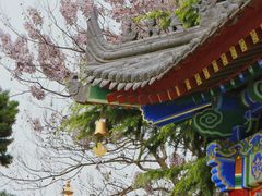 -西安市广仁寺