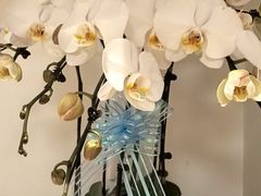 -LANN I 蘭 SPA(陆家嘴中心店)