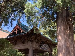 -窦大夫祠
