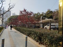 -苏州河梦清园环保主题公园