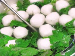 -丁老爷子苏香圆