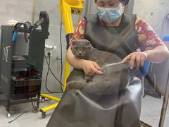 -宠福鑫康馨动物医院·骨科·眼科