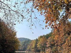 -青龙山国家森林公园