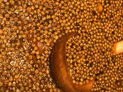 -胡马八破·川菜小馆(高新万达店)