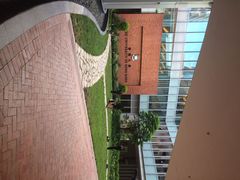 香港大学-香港大学