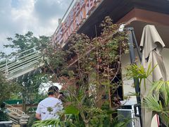 -芸鲜季·云南野生菌餐厅· 云南风物味研社(闵行店)