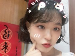 -蚂蚁造型俱乐部