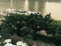 半岛太子酒家-半岛太子酒家(海港城店)