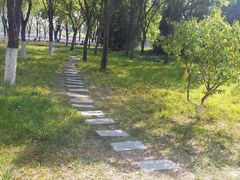 -莲花池公园