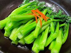 广东芥兰-蓝鲸(国浩路店)