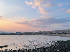 -烟墩角天鹅湖
