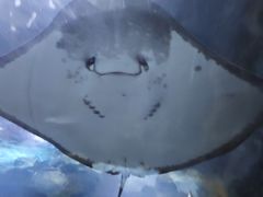-南昌海洋公园