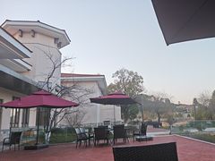 -桃源咖啡厅(武夷山大红袍山庄店)