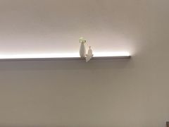 -常乐·对症推拿(财富Mall店)