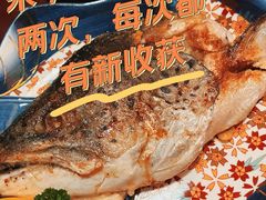 -弓二·烧鸟居酒屋(财富购物中心店)